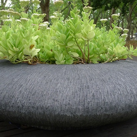 180cm Ellipse Bowl with Succulents